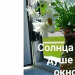 Алла В.