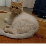 Маргарита Мефодиева