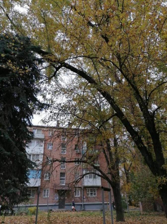слайд