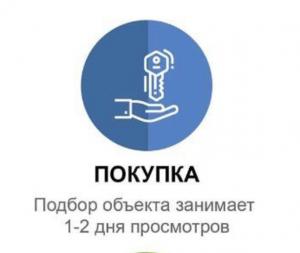 Фотография Медведев 4