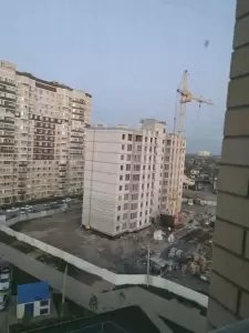 Фотография Речной жемчуг 3