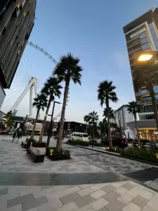 Фотография СаРРоС 4