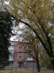 Фотография Профи 1